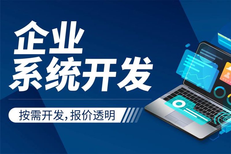 管理软件开发：推动企业效能新高峰